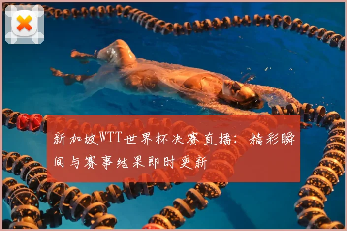 新加坡WTT世界杯决赛直播：精彩瞬间与赛事结果即时更新